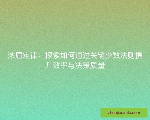浓眉定律：探索如何通过关键少数法则提升效率与决策质量