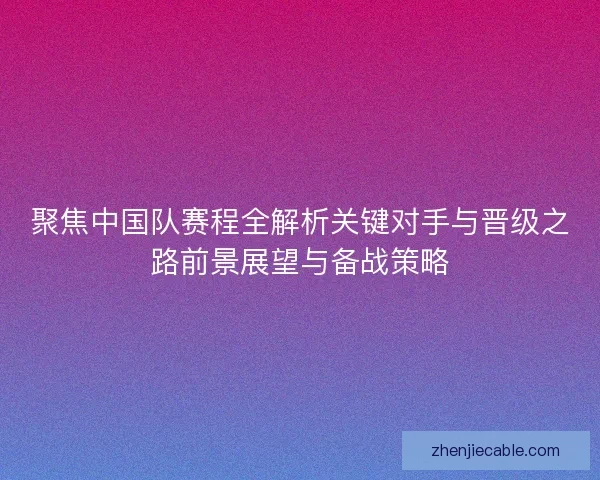 聚焦中国队赛程全解析关键对手与晋级之路前景展望与备战策略