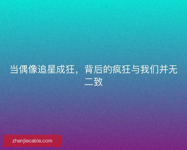 当偶像追星成狂，背后的疯狂与我们并无二致